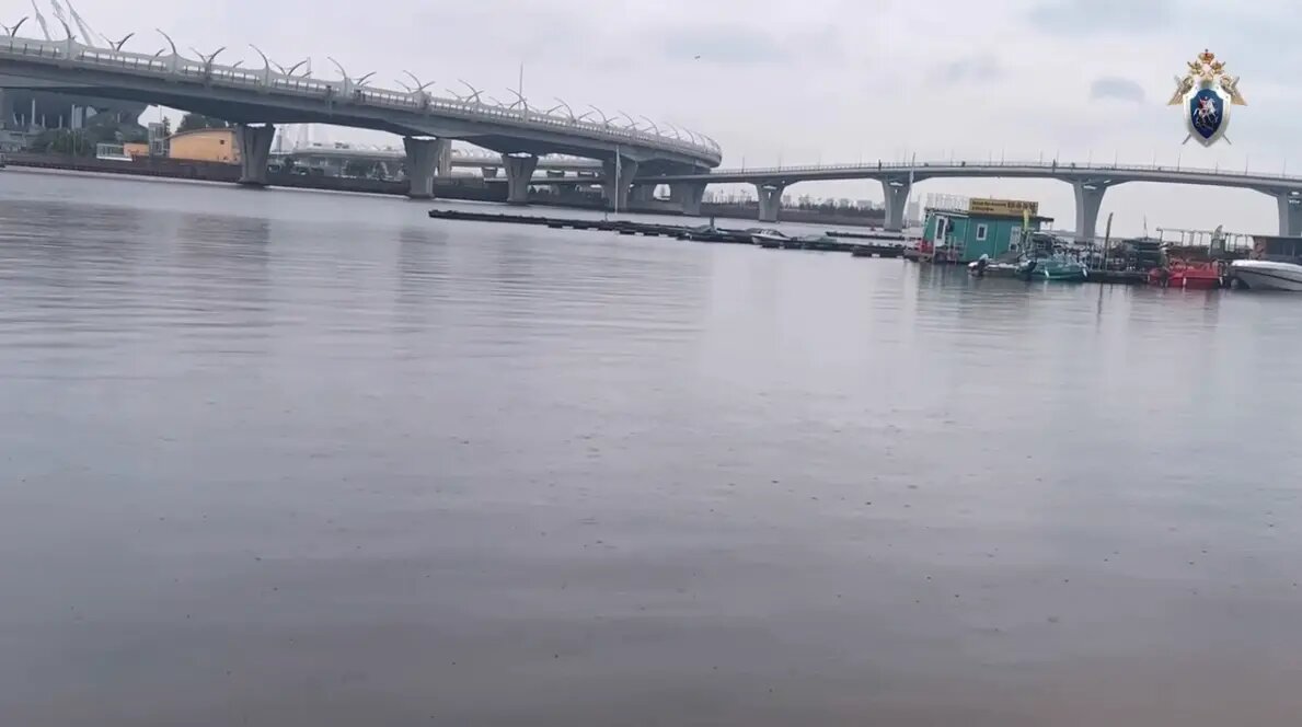    Фото: кадр видео ГСУ СК по Петербургу