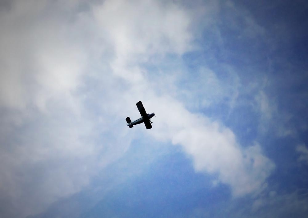    © TVC.ru / Андрей Гуцков