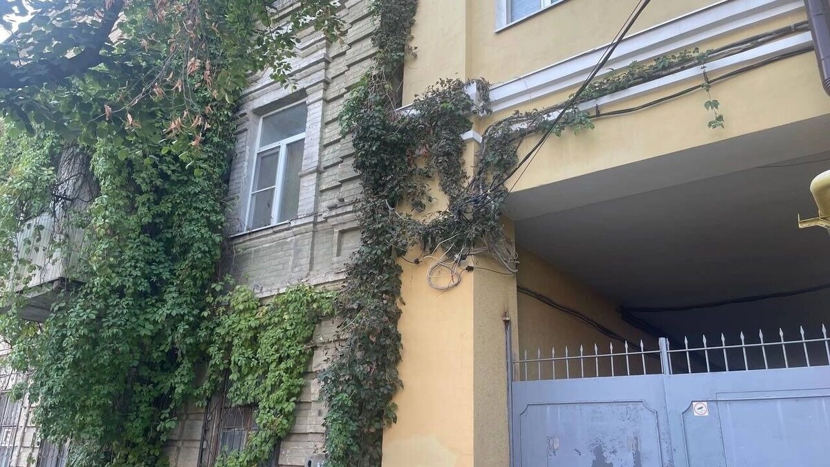     Источник: rostovgazeta.ru