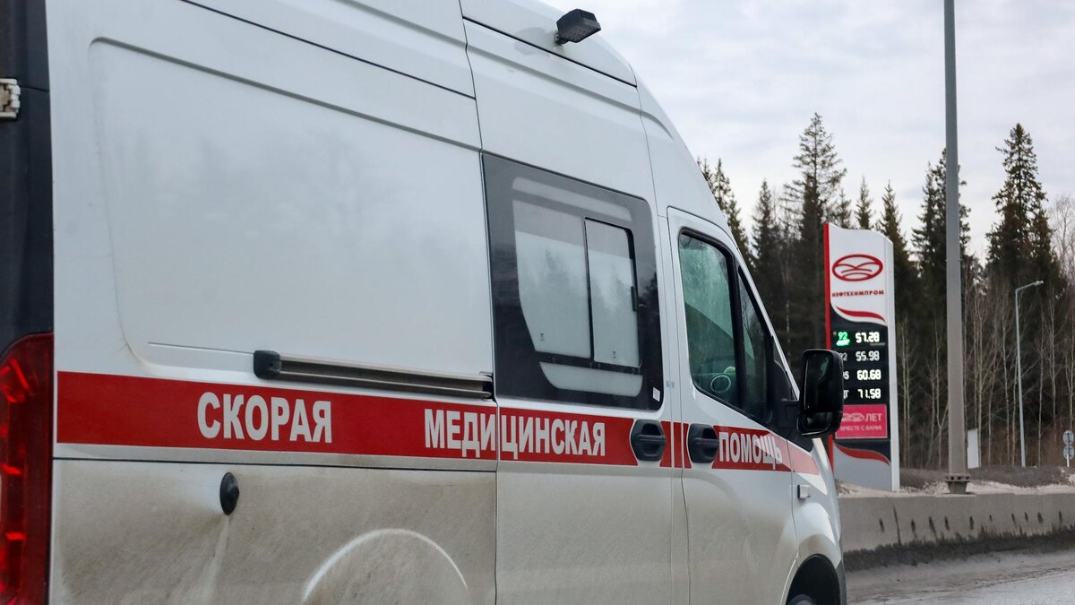    Фото: Elena Mayorova/globallookpress.com