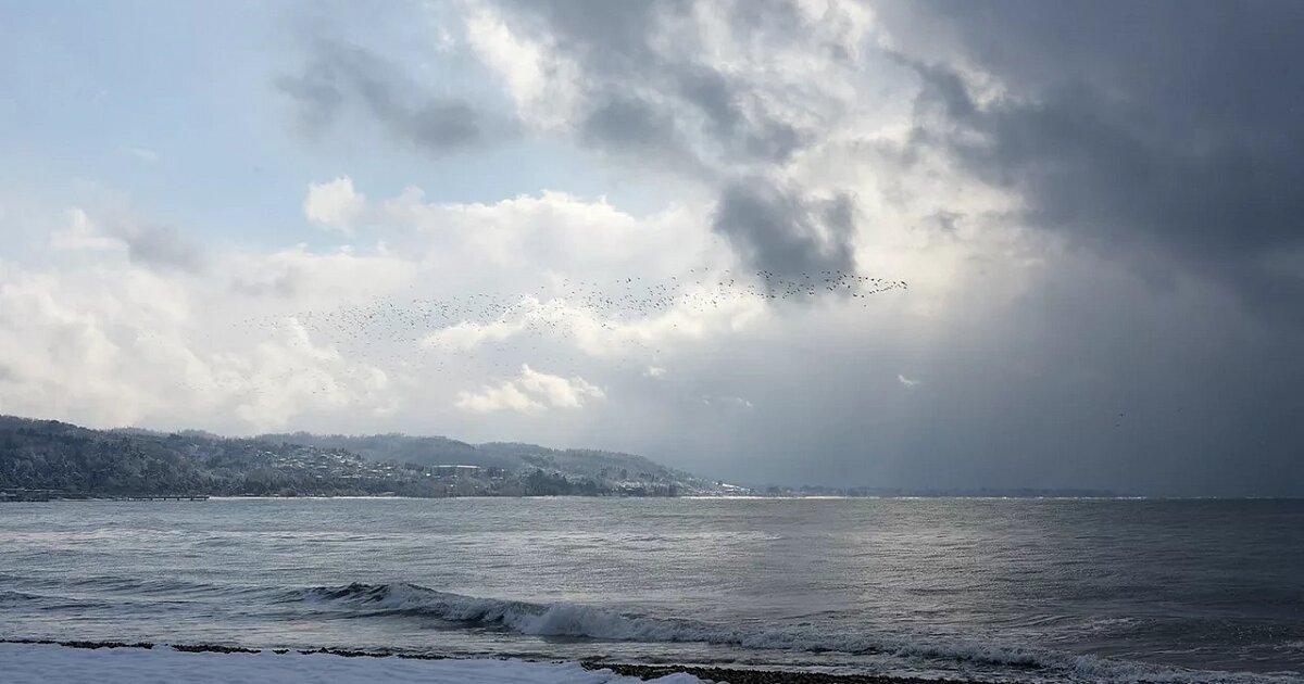 Фото: Томас Тхайцук / РИА Новости