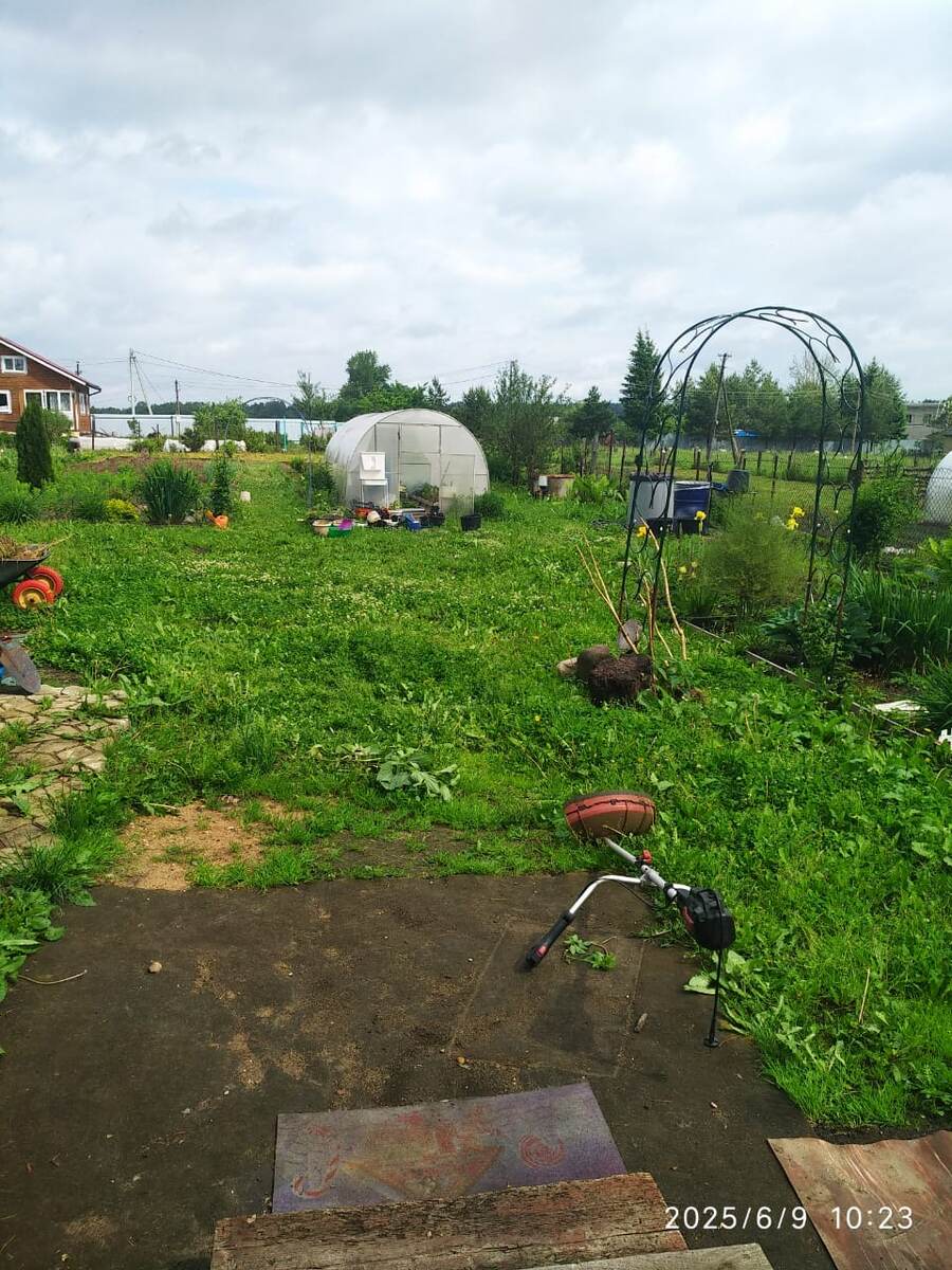 участок до покоса