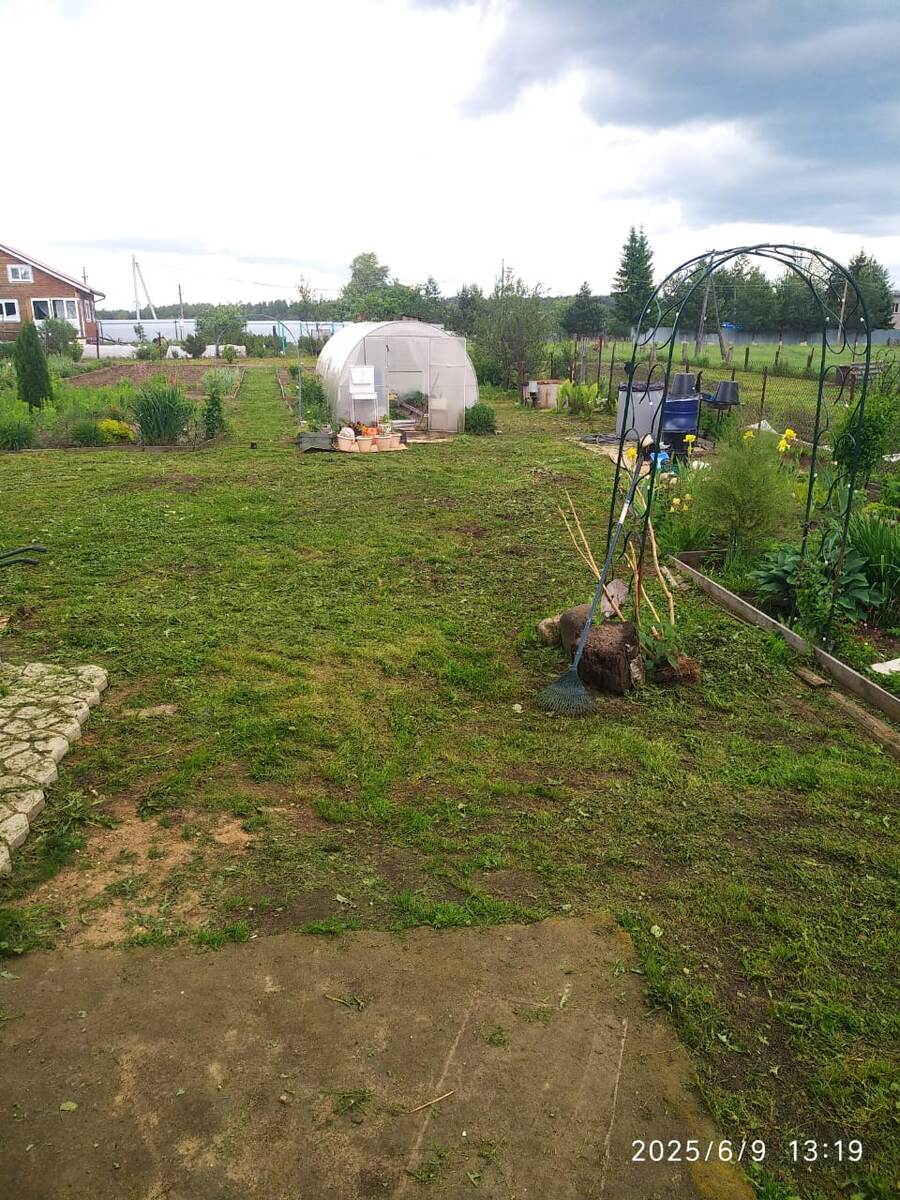 участок, после покоса)