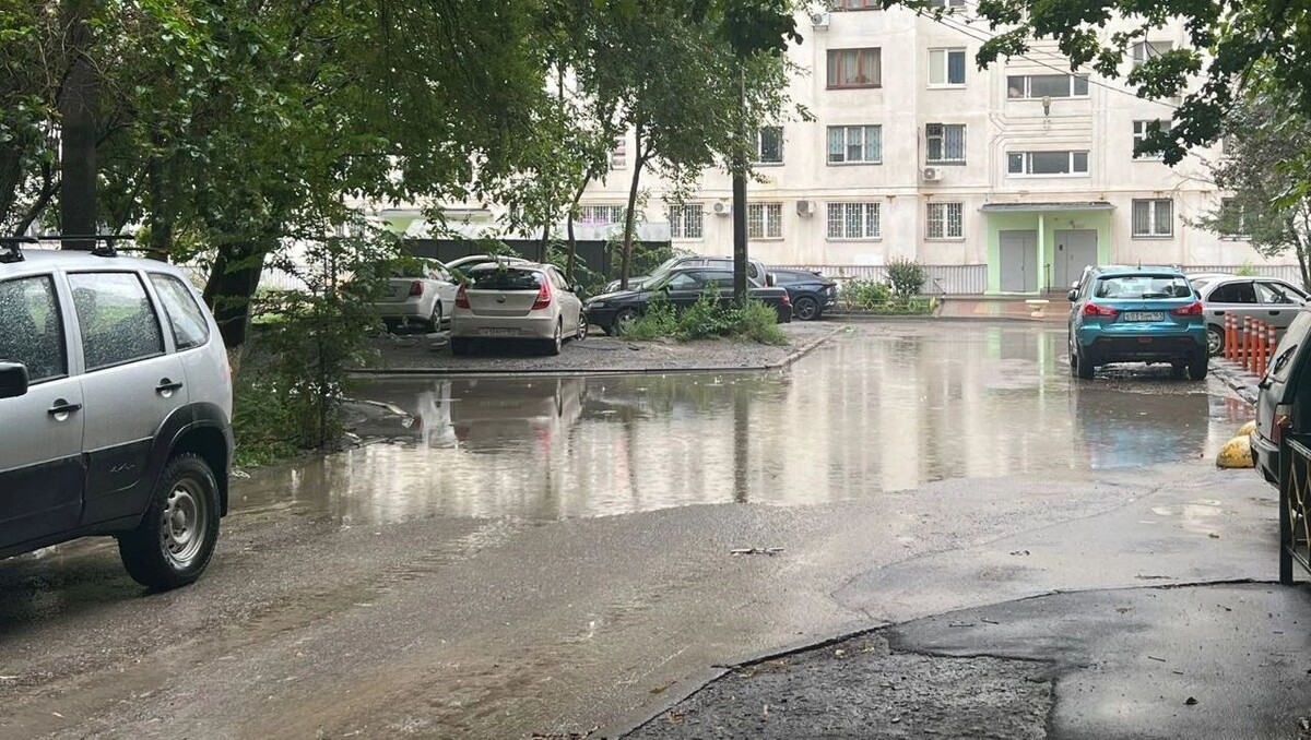     Источник: rostovgazeta.ru