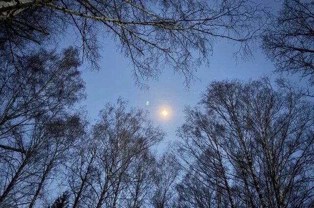    Над Крымом ночью с 9 на 10 июня отражена атака 9 БПЛА ВСУ: что известно?