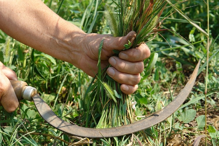    Фото: Геннадий Дьячук