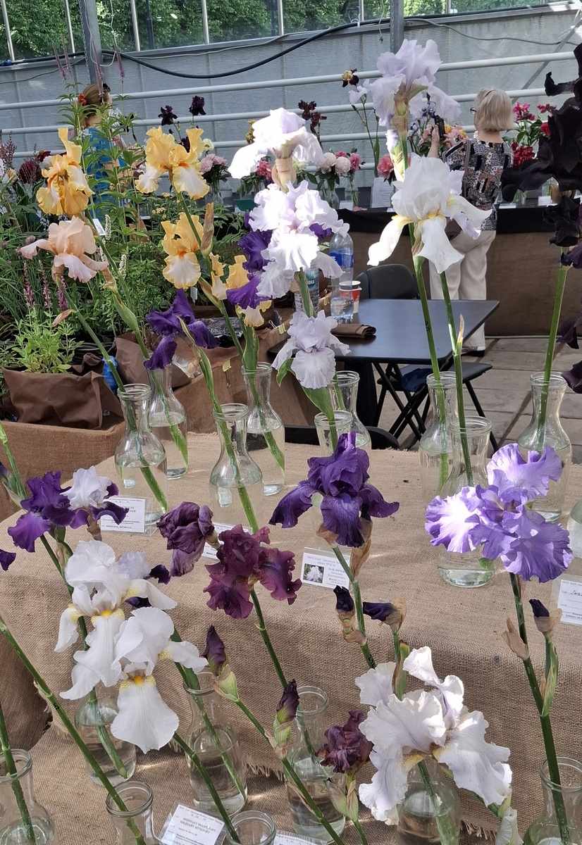 Аптекарский огород порадовал нас!