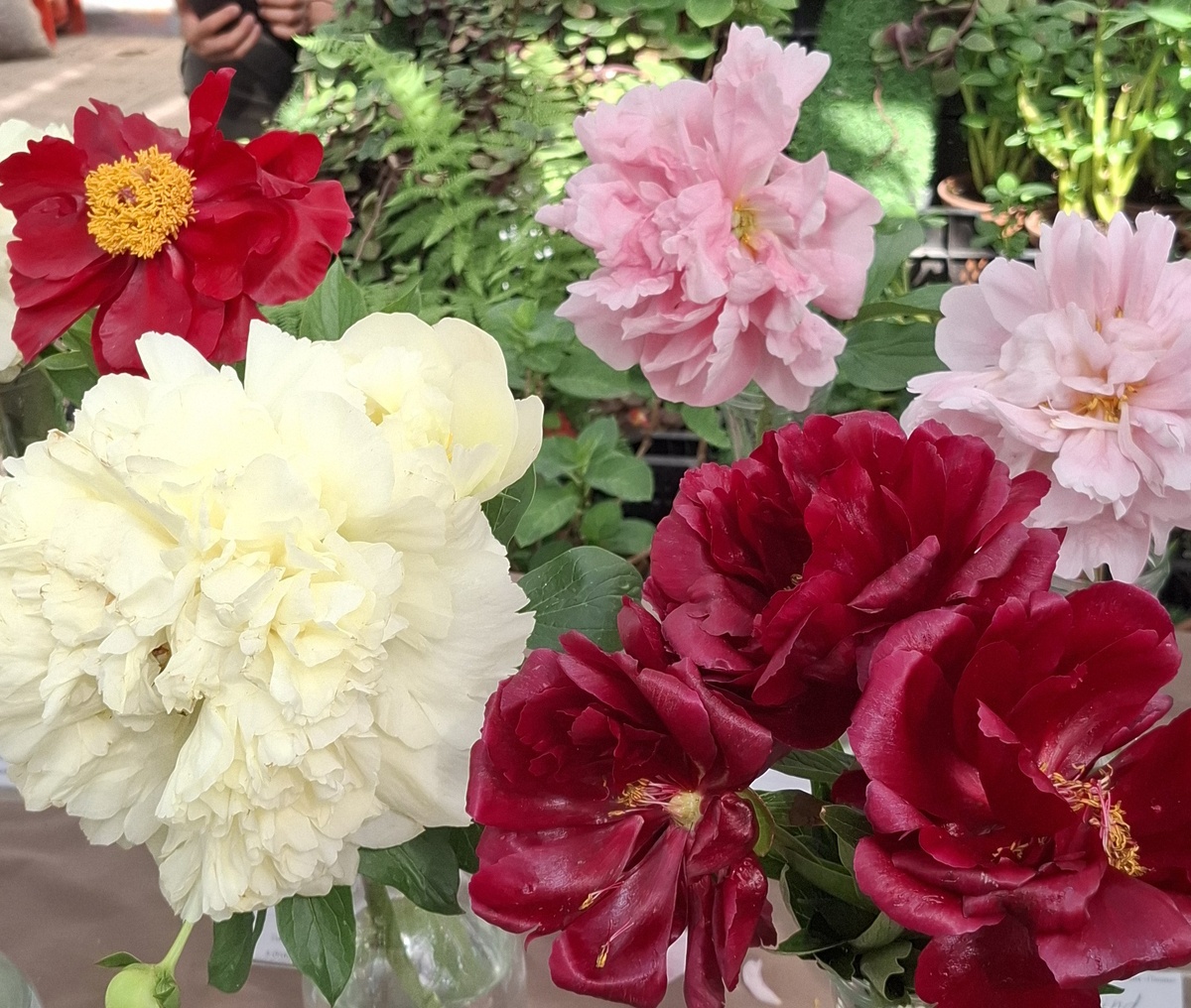 Всем хорошего лета!