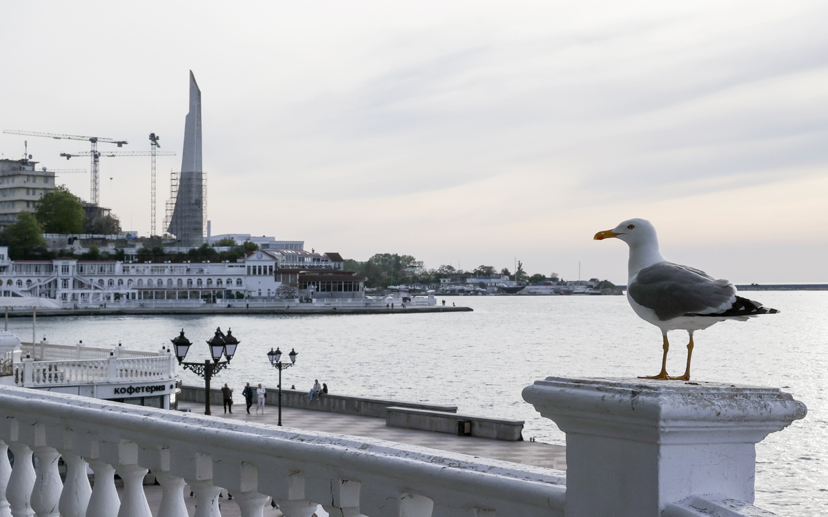    Источник: Сергей Мальгавко/ТАСС