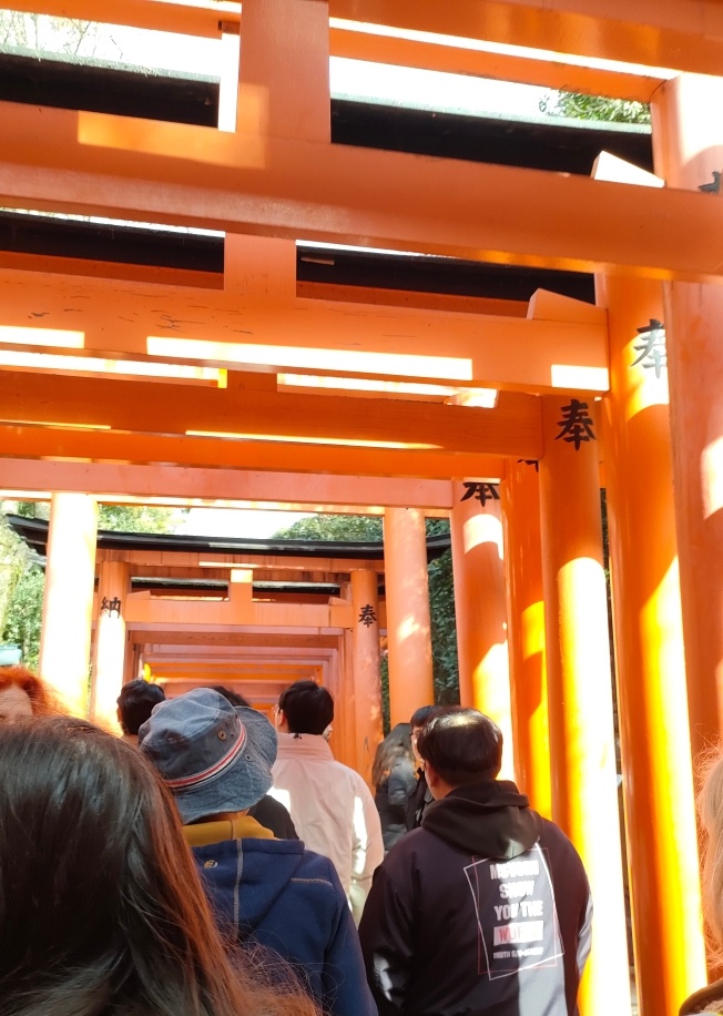 фото автора.Фусими Инари,Киото.Тропинка через тысячу торий- путь, по которому возвращаешься к себе.