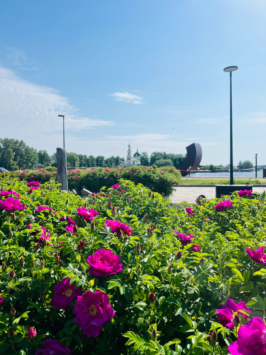 Фото автора 