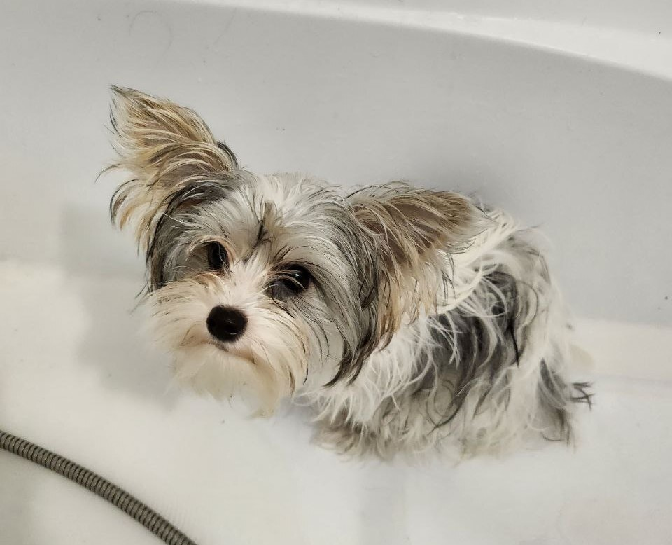 Фото: предоставлено героем публикации
