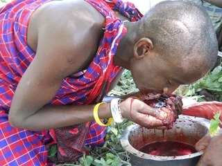 Масаи пьющий кровь. Источник: https://simasafari.com