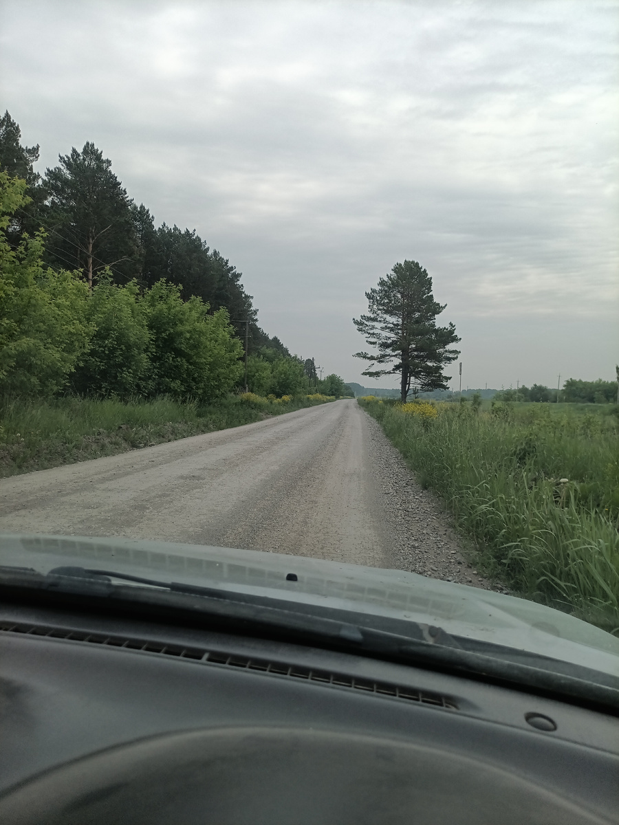 Где-то здесь раньше был въезд на этот мыс между деревьев