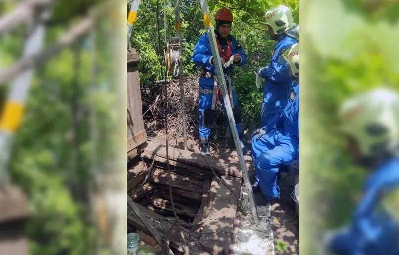    Фото ПСС Самарской области