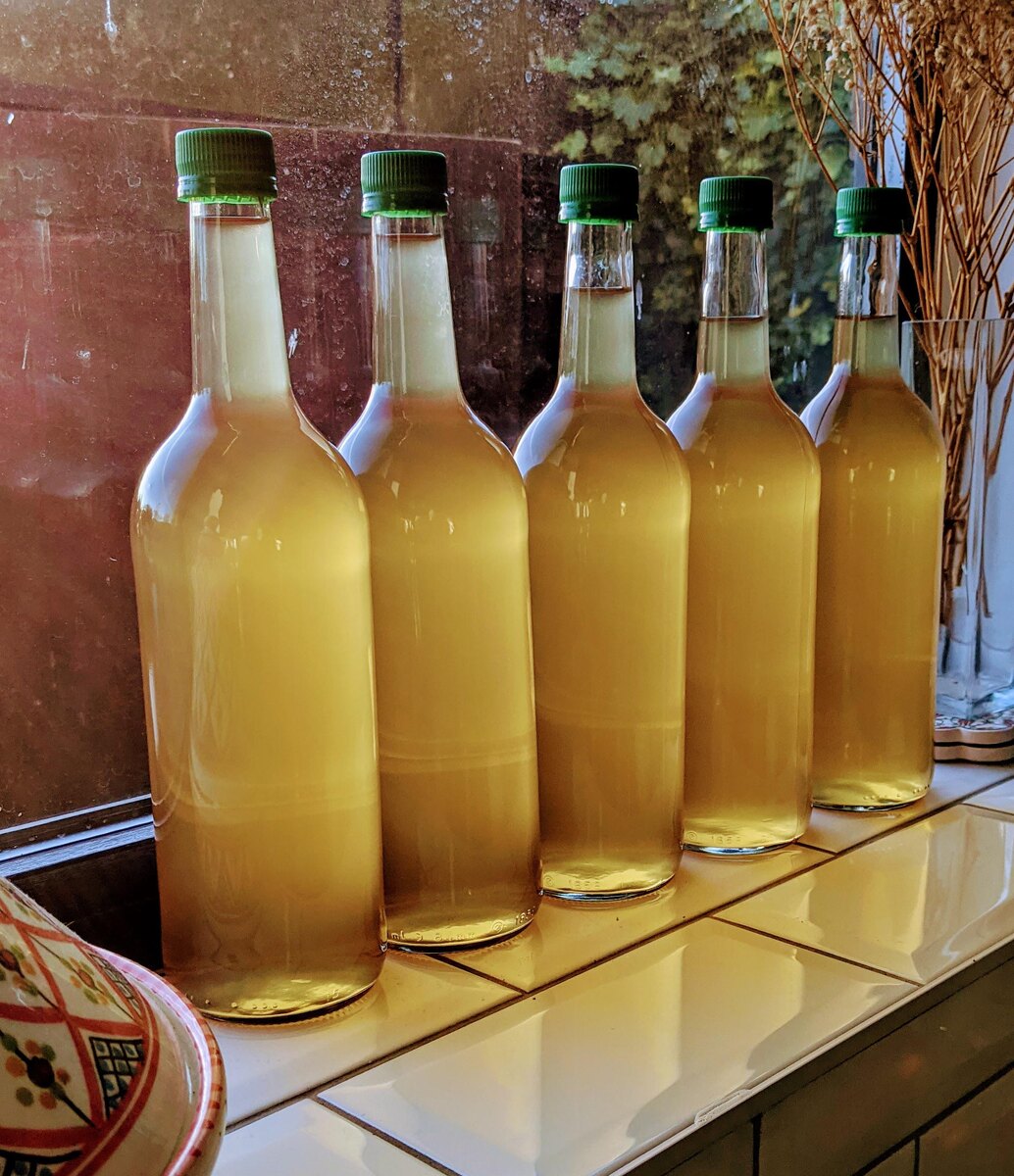 домашнее яблочное вино в бутылках