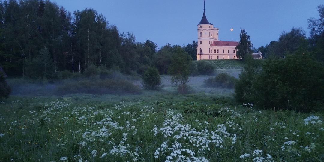 Павловск. Сирень. Ливень