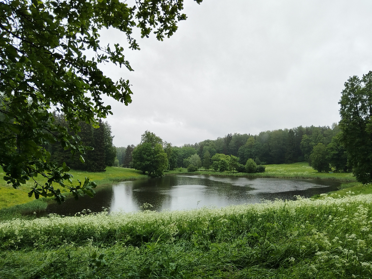 Круглый пруд