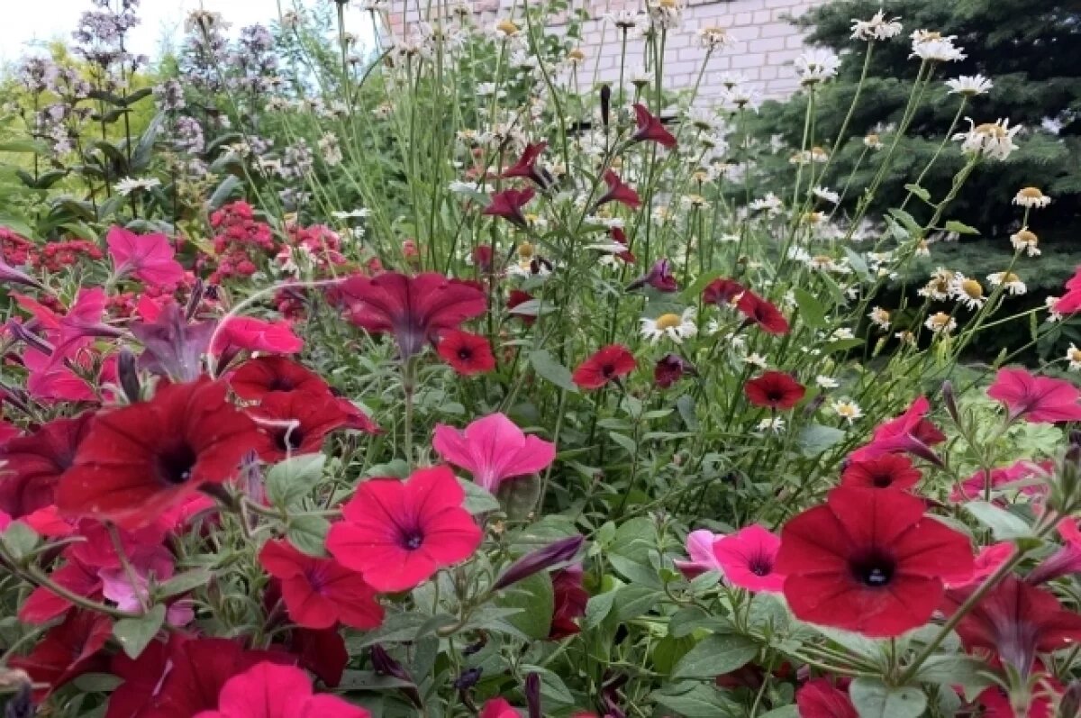    На Ямале стартует акция «Цветущие традиции» в честь Года героев