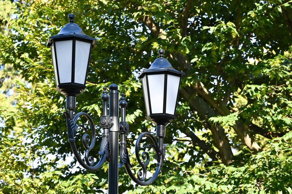    Фото: пресс-служба администрации города Сочи