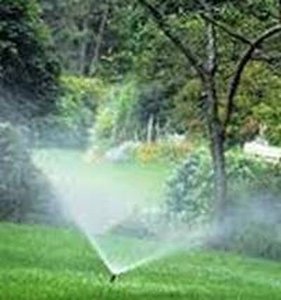 полив газонной травы