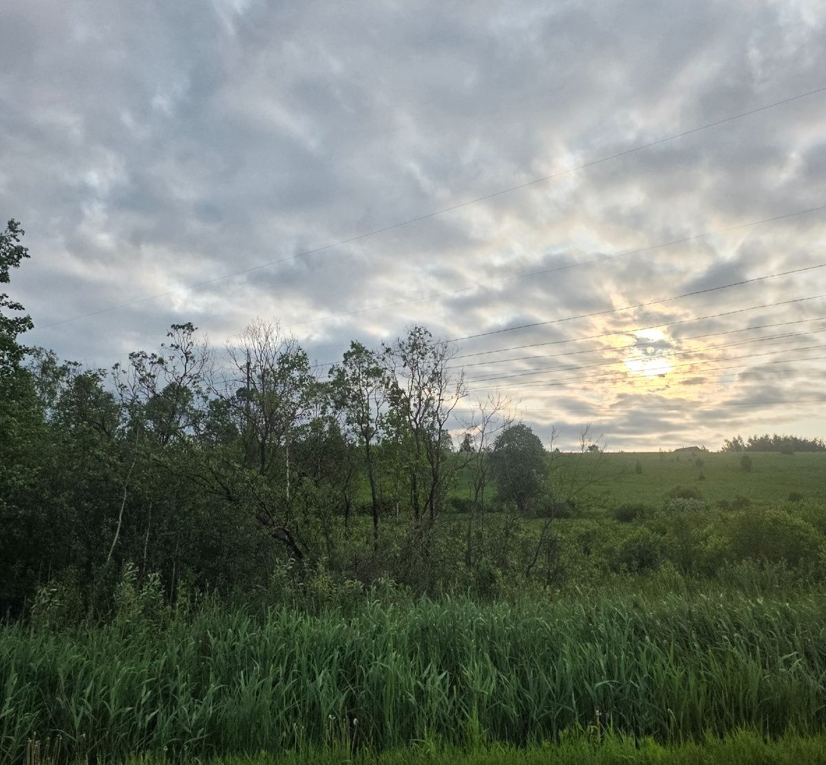 Доброе утро, друзья! Фотография автора сегодня 10 июня в 5.30 утра. Восход солнца 