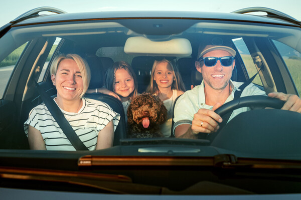 Shutterstock/FOTODOM  