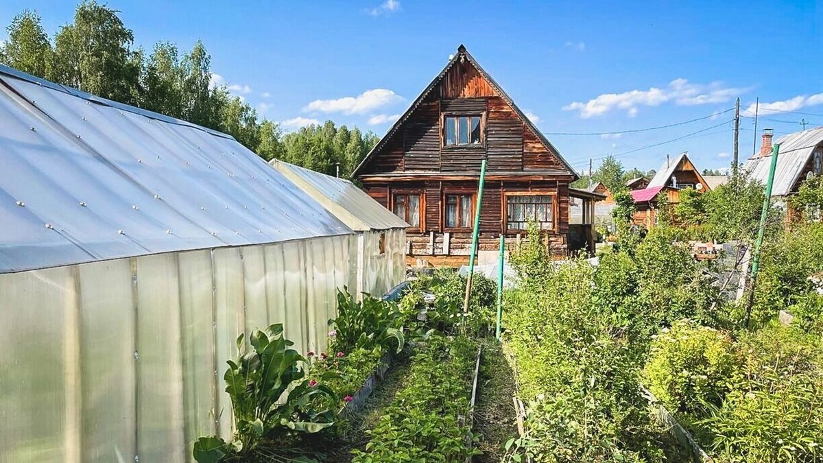 Теперь дачникам придется согласовывать с соседями высоту заборов и выбор материалов. Источник: 1MI