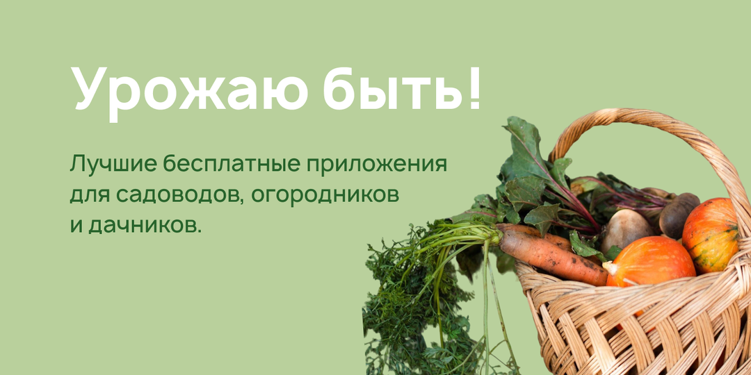 Лучшие бесплатные приложения для садоводов, огородников и дачников: полезная подборка
