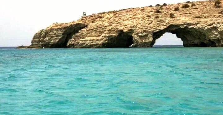 Фото взято из открытых источников 