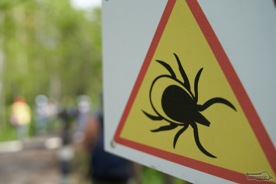    Фото: Лидия Аникина © ИА «Уральский меридиан»