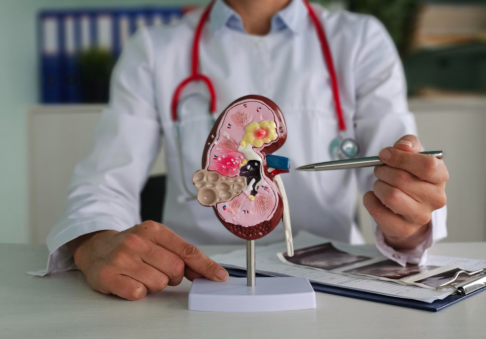 Уход за пациентами с хронической болезнью почек: советы и помощь. (источник изображения: freepik.com)