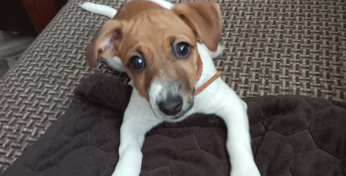 Ещё чу-чуть до сорока