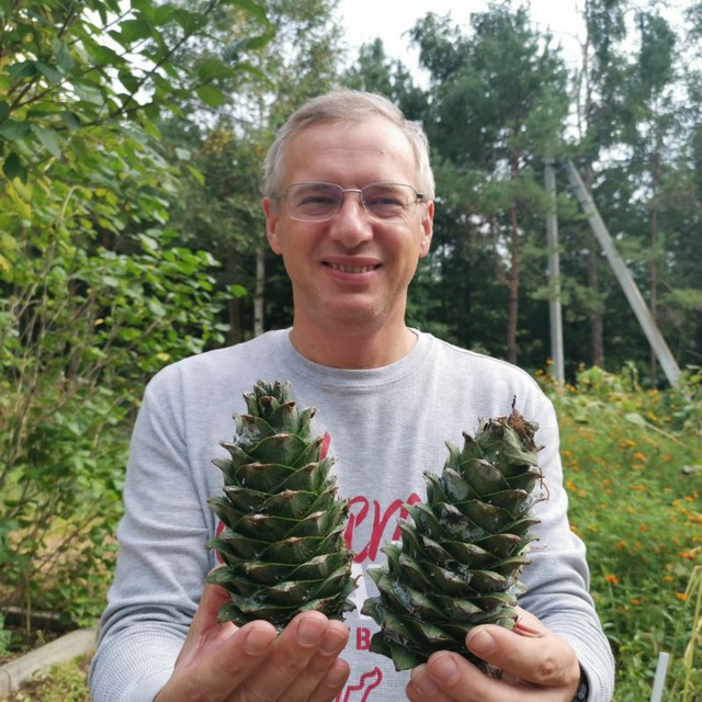 Дмитрий Алексеев Фото с телеграмм канала: https://t.me/AlekseevDNS