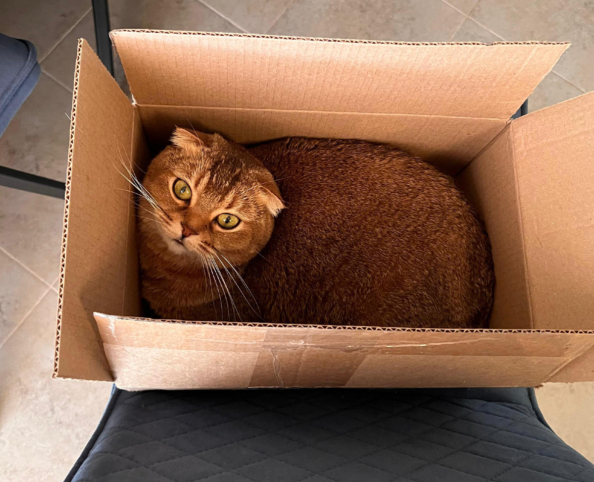 Мэй Ли (из личного архива)