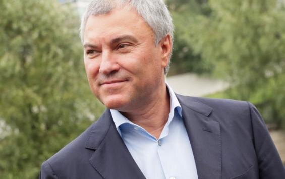 Фото: телеграм-канал Вячеслава Володина.