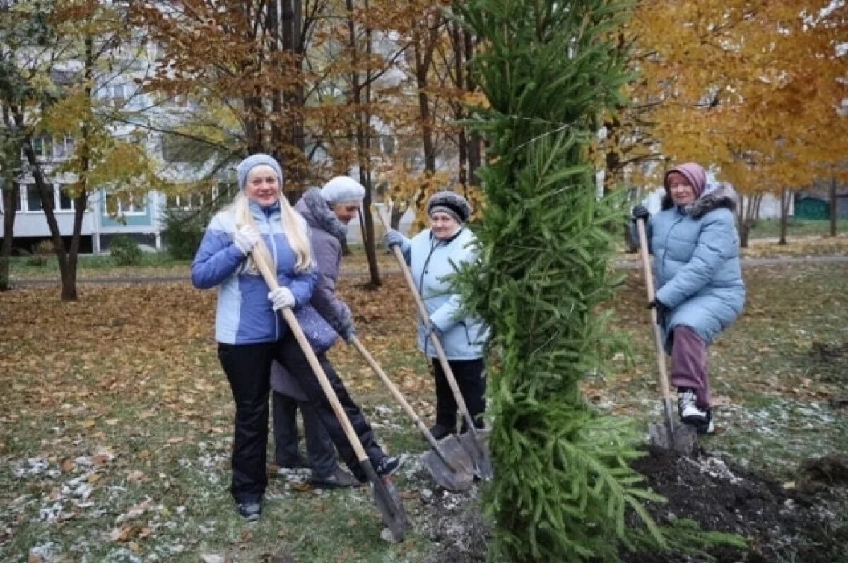    Жителям Ульяновска возместят средства на озеленение дворов