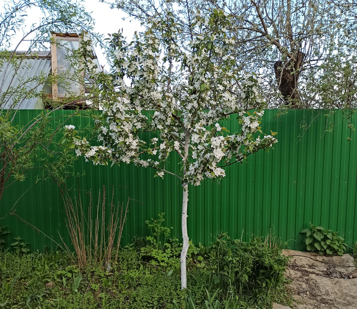 Фото автора. Внешнюю сторону крайних дач можно отгородить любым забором 