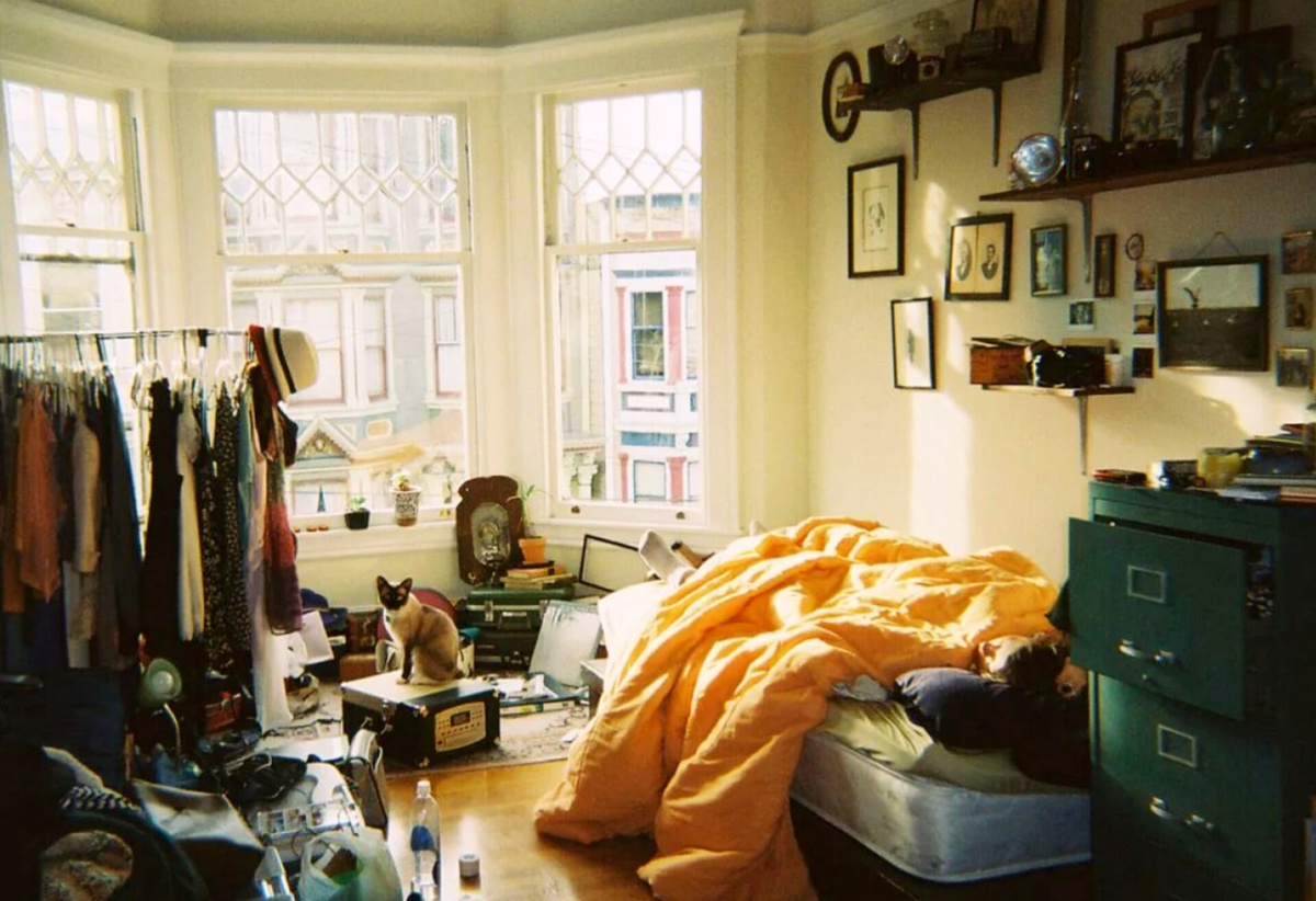 Фото взято из открытого источника