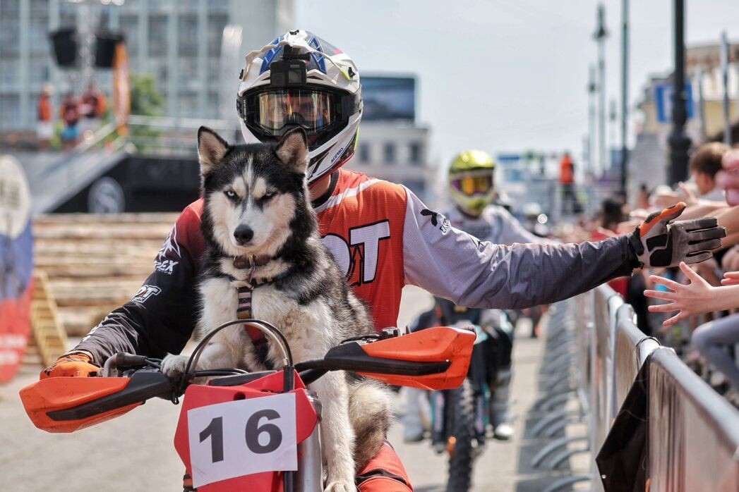    Фото: Фестиваль «Движение»