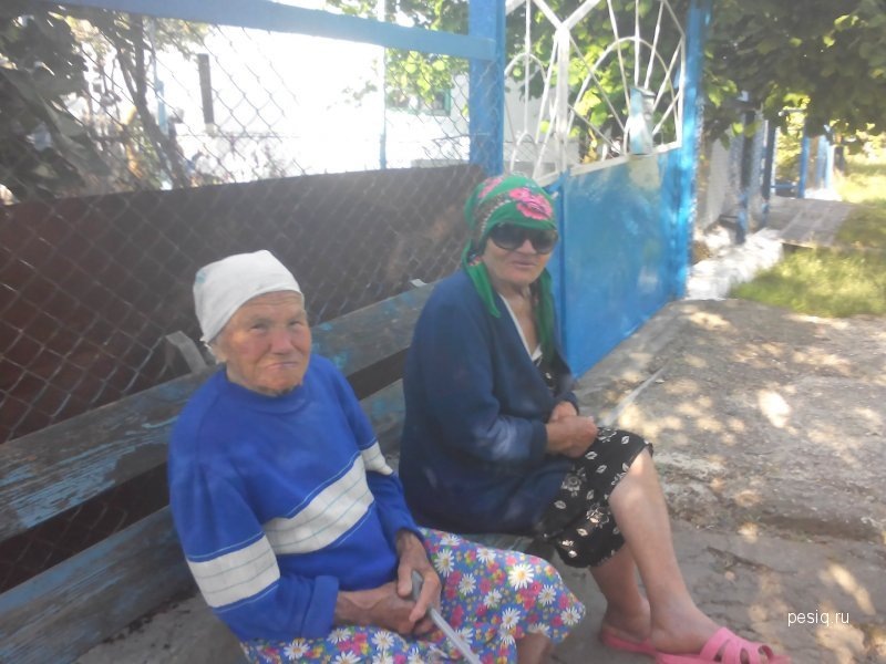 Наша лавочка. Баба Нюра и баба Тоня