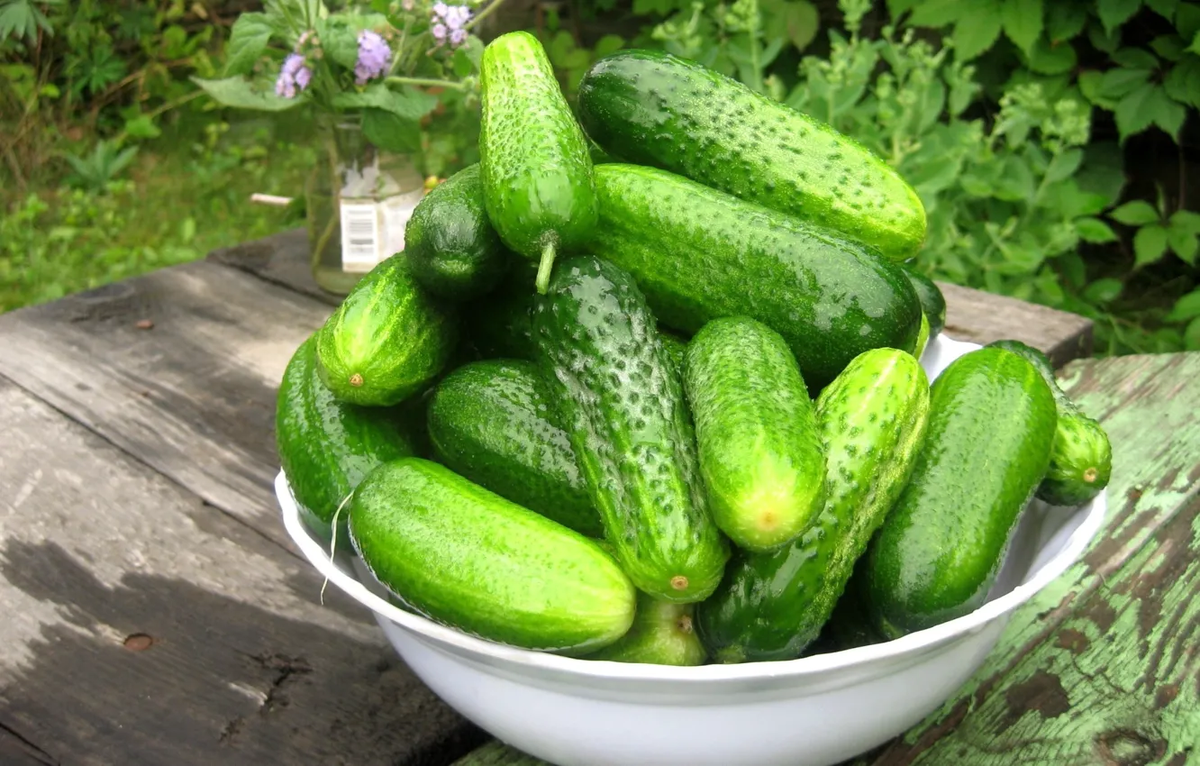 Фото: Tamila / GoodFon.ru