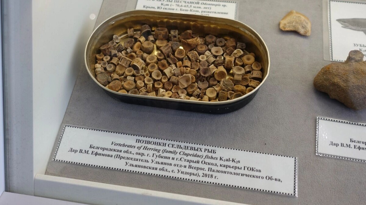     Автор: Мальцева Алёна Источник: bel.ru