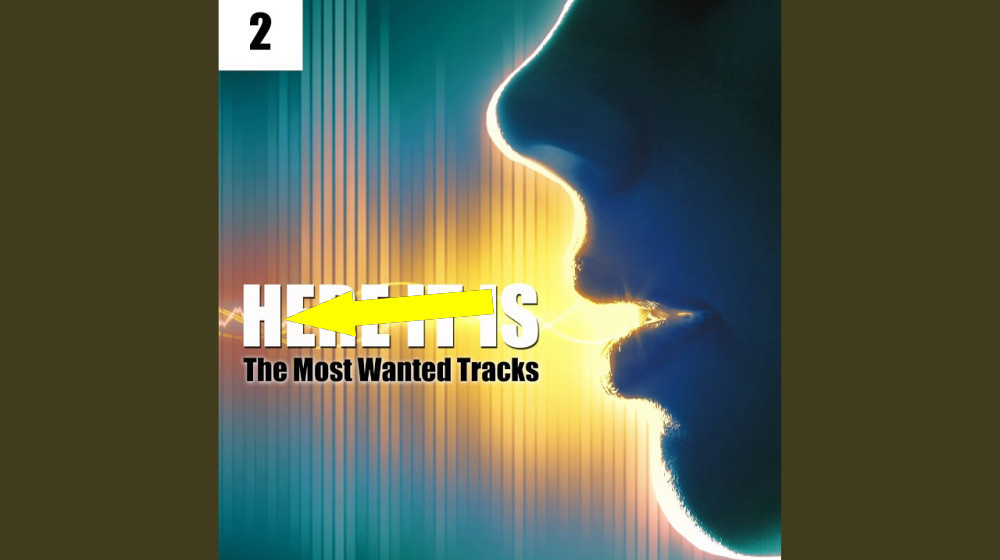    Тайна гула наконец раскрыта ученые впервые записали звук который слышат лишь избранные