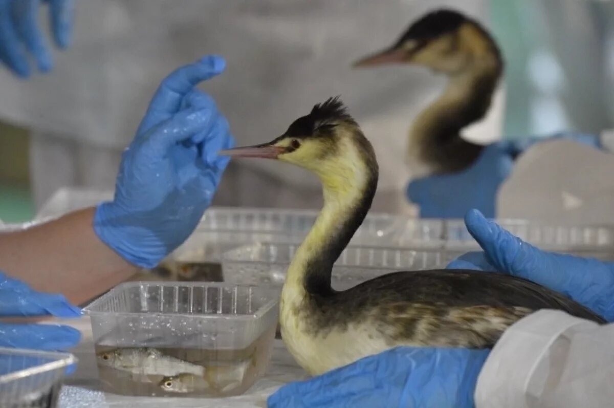    Система поддержки особо охраняемых природных территорий