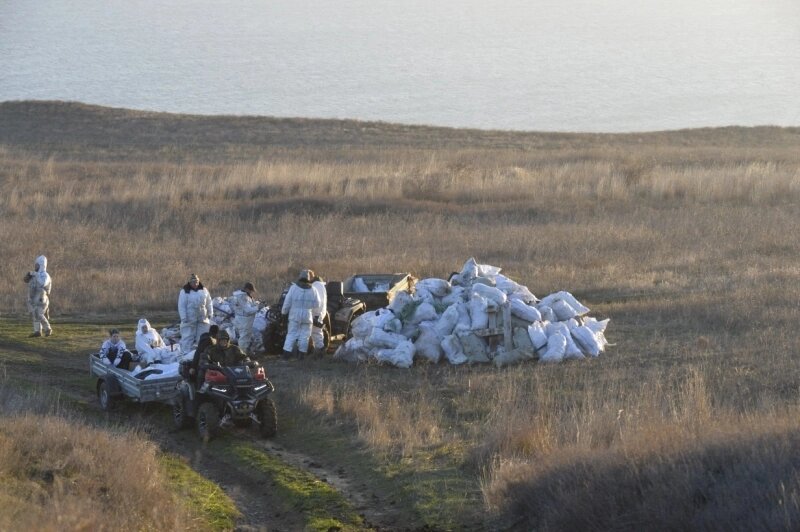    Фото: Фонд защитников природы/ Николай Шпиленок