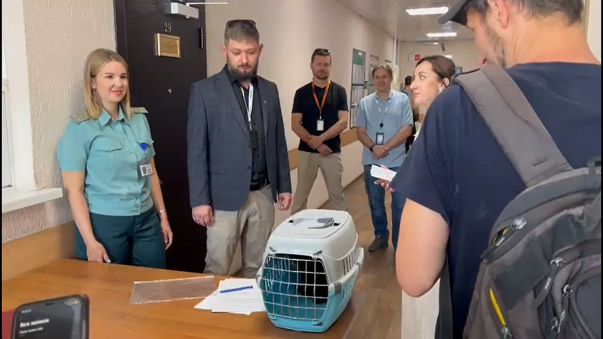    Скриншот: Транспортная группа Fesco