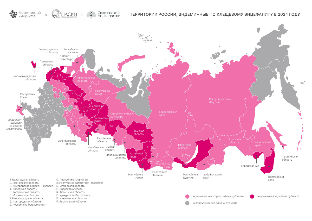 На карте отмечены эндемичные регионы по клещевом энцефалиту в 2024 году.