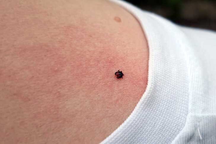    Фото из архива VN.ru