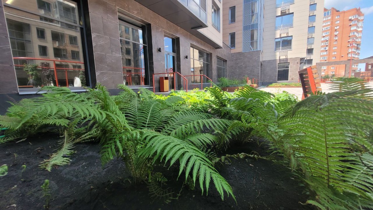 -2-2